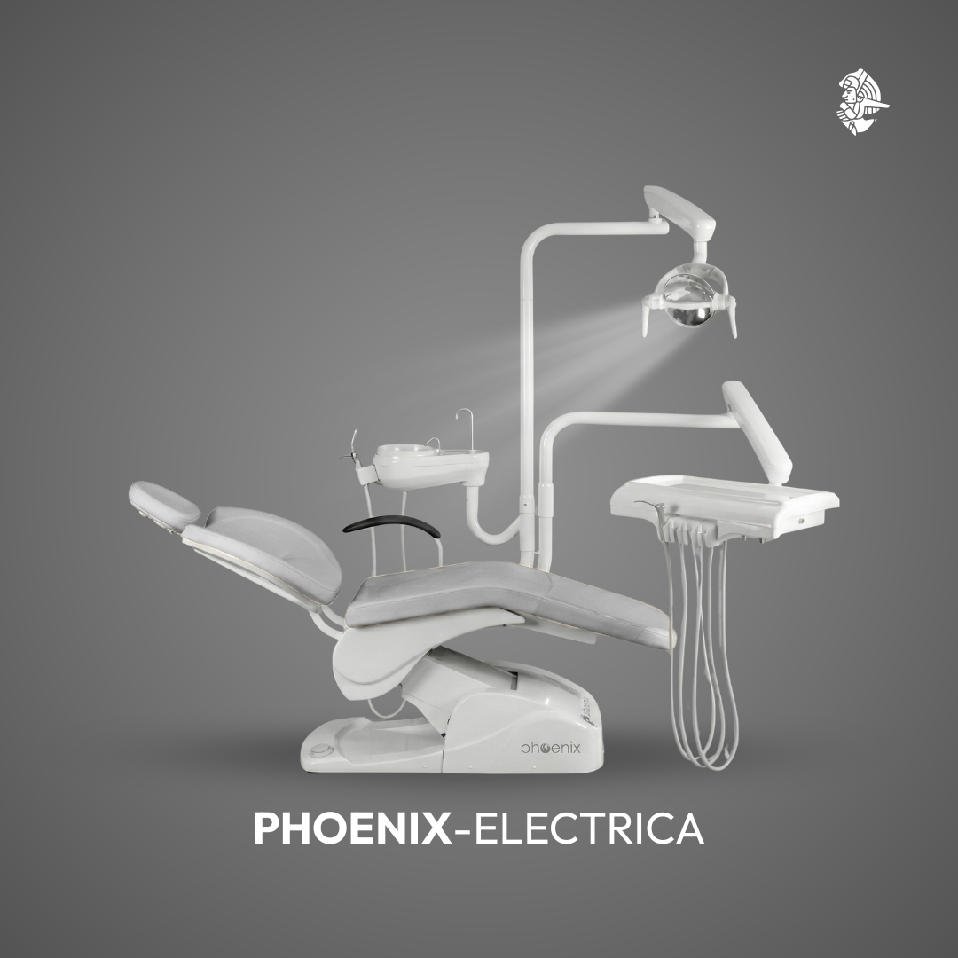 UNIDAD ELECTRICA PHOENIX