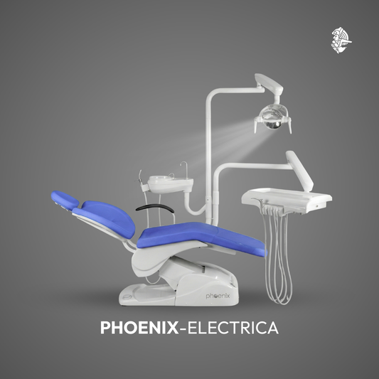 UNIDAD ELECTRICA PHOENIX