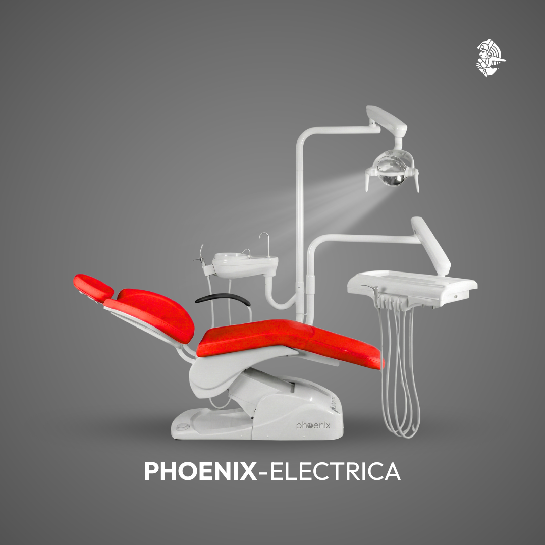 UNIDAD ELECTRICA PHOENIX