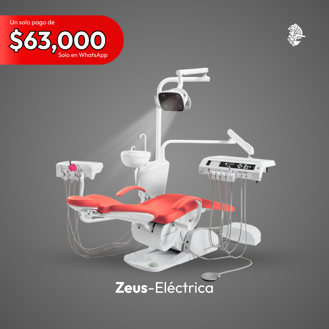 UNIDAD ELECTRICA ZEUS