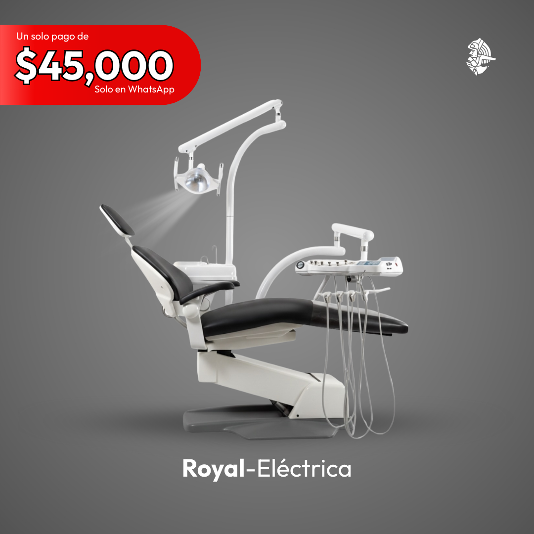 Unidad Eléctrica con sillón marca Royal