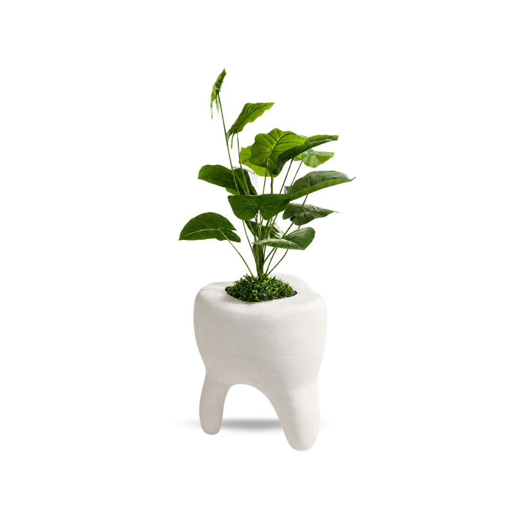 Maceta decorativa en forma de diente