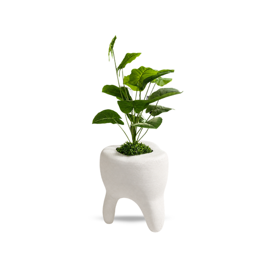 Maceta decorativa en forma de diente